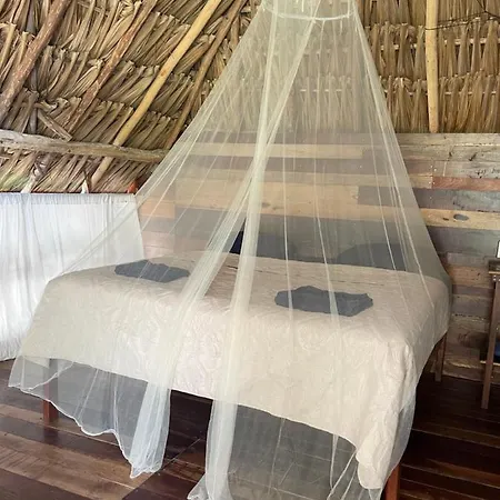 Chavez Eco And * Tulum