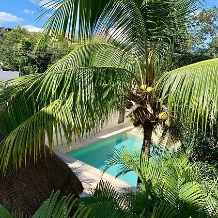 Apartment Tua Large Comfortable Pool Parking Space Tulum