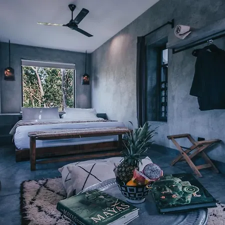 Ambre & Epices Jungle & Hotel