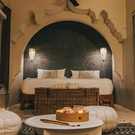 Ambre & Epices Jungle & Hotel