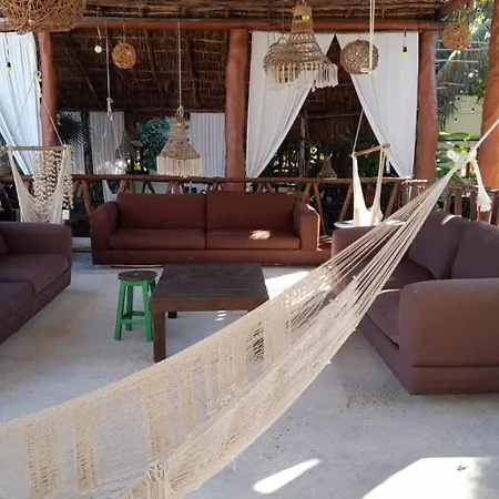 Hostel The - Food, Drinks And Transportation To The And Cenotes *