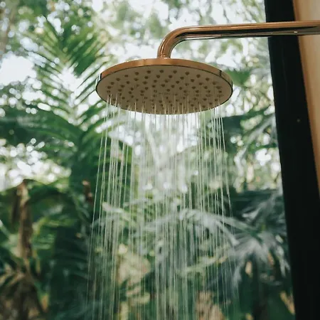 Hotel Ambre & Epices Jungle & 4*