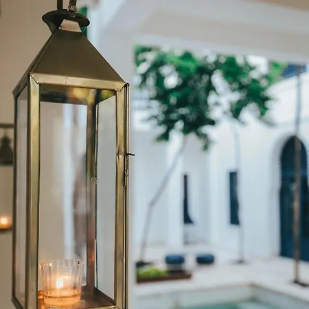 Hotel Ambre & Epices Jungle & Tulum