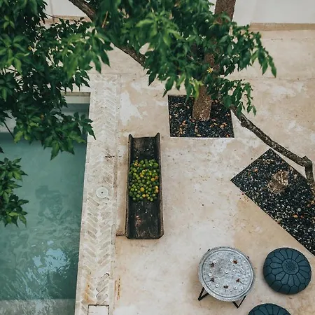 Ambre & Epices Jungle & Hotel Tulum