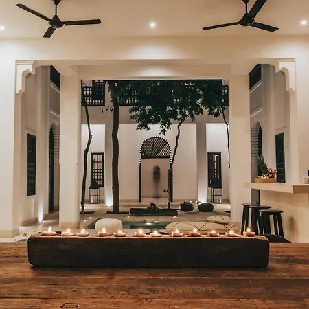 Hotel Ambre & Epices Jungle &