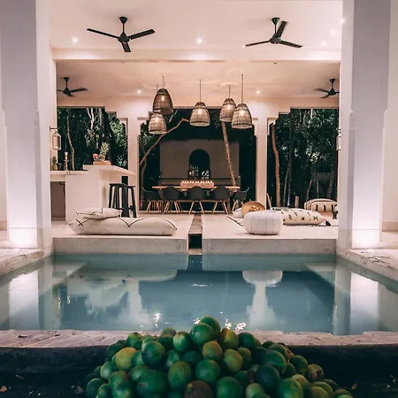 Ambre & Epices Jungle & Tulum