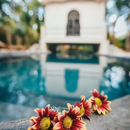 Ambre & Epices Jungle & Hotel 4*