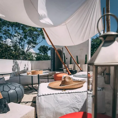 Ambre & Epices Jungle & Hotel