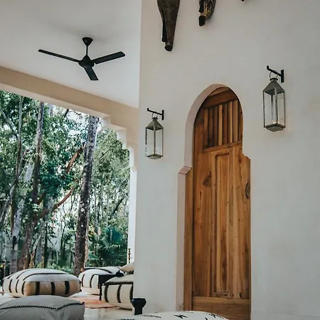 Hotel Ambre & Epices Jungle &