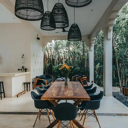 Hotel Ambre & Epices Jungle &