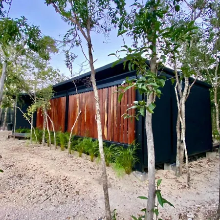 Room In The Jungle + Private Natural Cenote Guest house