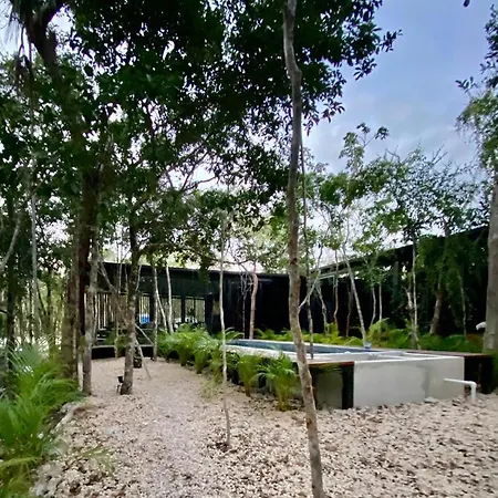 Guest house Room In The Jungle + Private Natural Cenote Tulum