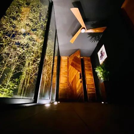 Room In The Jungle + Private Natural Cenote