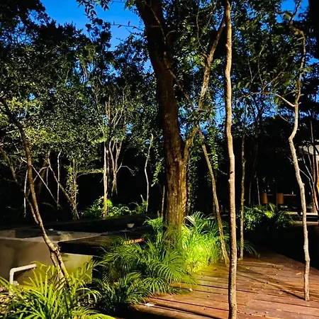 Room In The Jungle + Private Natural Cenote