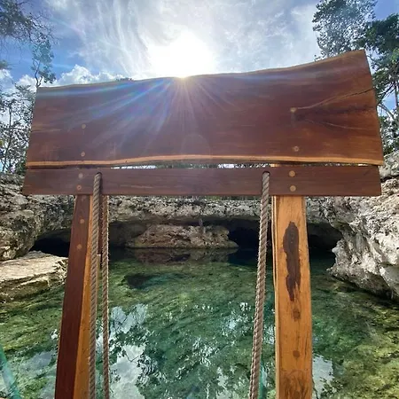 Room In The Jungle + Private Natural Cenote Tulum