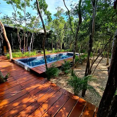 Room In The Jungle + Private Natural Cenote