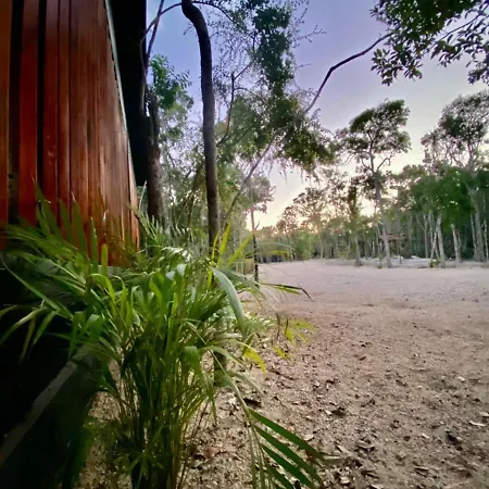Room In The Jungle + Private Natural Cenote Guest house *