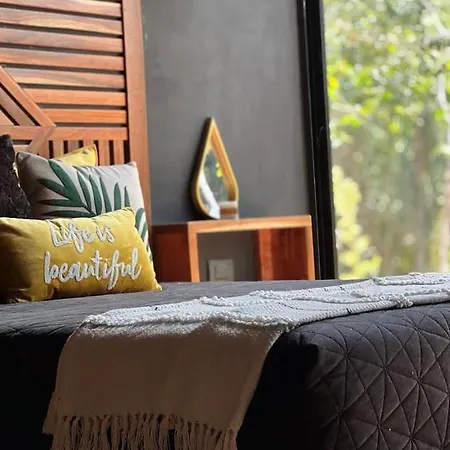 Guest house Room In The Jungle + Private Natural Cenote Tulum