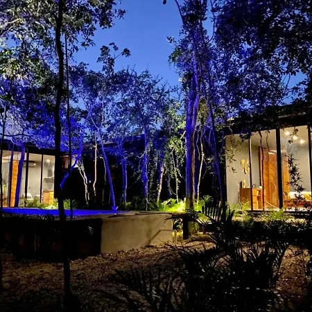 Room In The Jungle + Private Natural Cenote