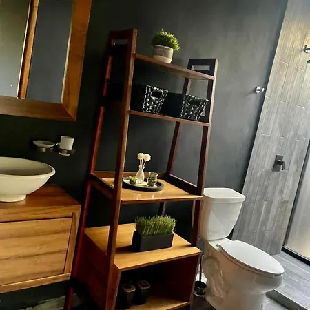 Room In The Jungle + Private Natural Cenote *