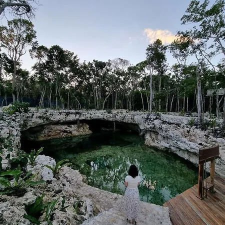 Room In The Jungle + Private Natural Cenote * Tulum