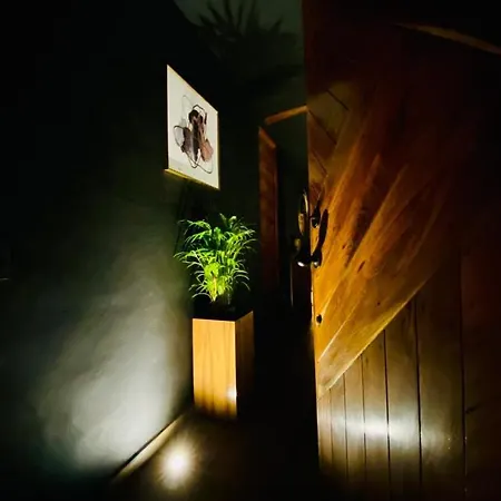 Room In The Jungle + Private Natural Cenote * Tulum