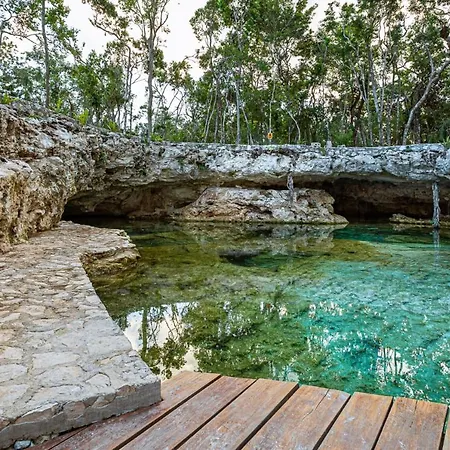 Room In The Jungle + Private Natural Cenote Guest house
