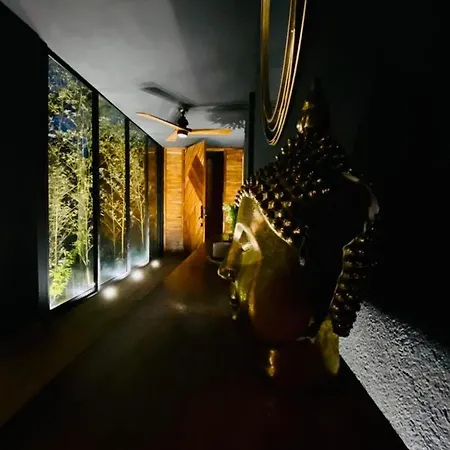 Room In The Jungle + Private Natural Cenote Guest house *