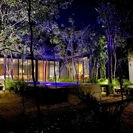Room In The Jungle + Private Natural Cenote Guest house *