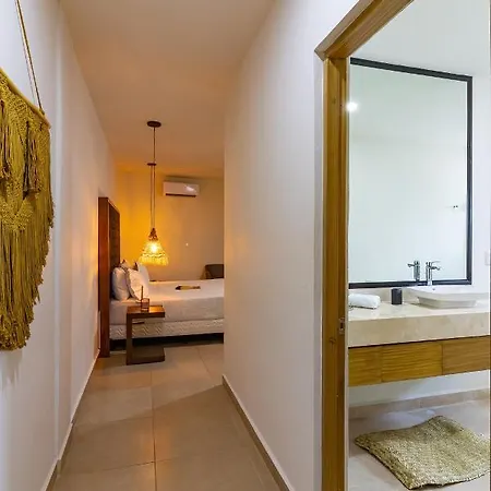 Apartment Elementus