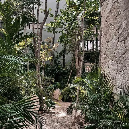 Vida Boho 16 With Special Fee To Access Bardo Tulum