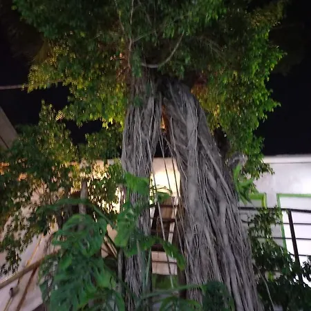 Mundo Maya Hotel