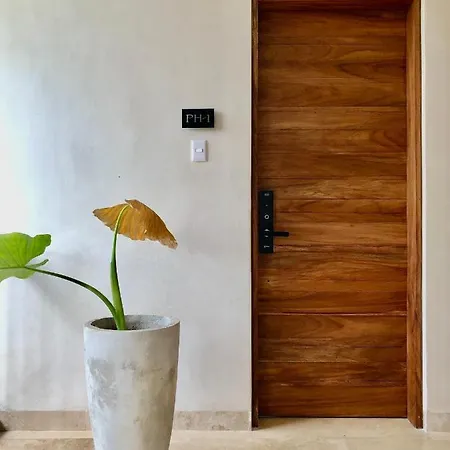 Apartment Modern 2br Penthouse Concierge Gated Community Tulum