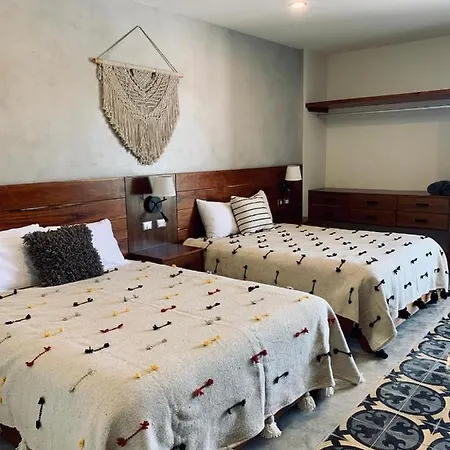 In Studio - Luxury Suites La Veleta Guest house *