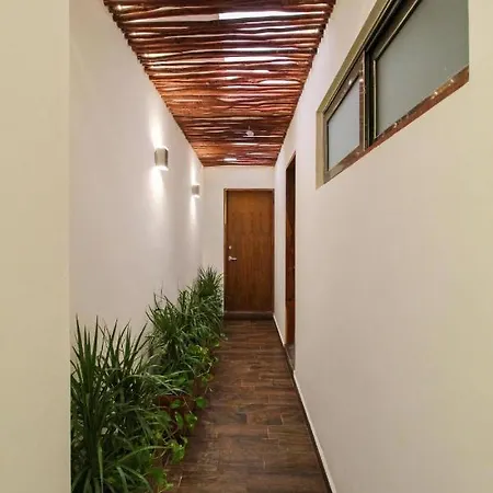 In Studio - Luxury Suites La Veleta Guest house *