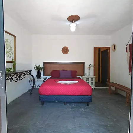 Primitive Selfcheck-in Adults Only Tulum
