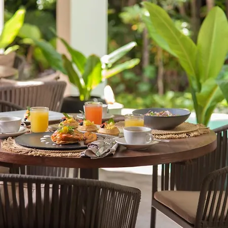 Kasa Kuyen - Adults Only 4*