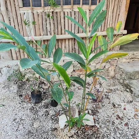 Aldea Yuyu * Tulum