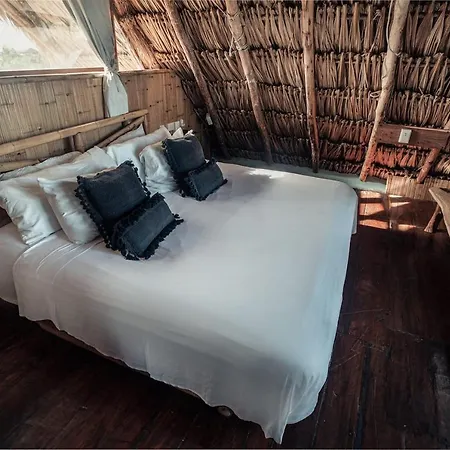 Hidden Treehouse Eco-hotel Hotel