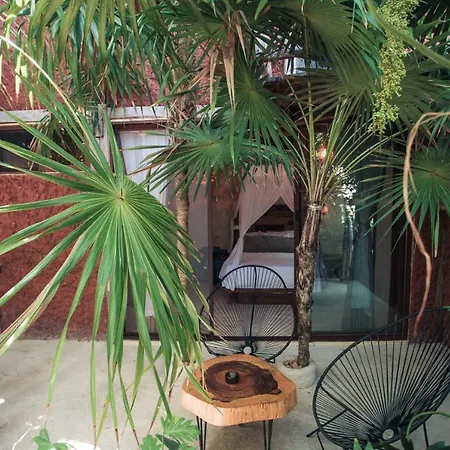 Hidden Treehouse Eco-hotel