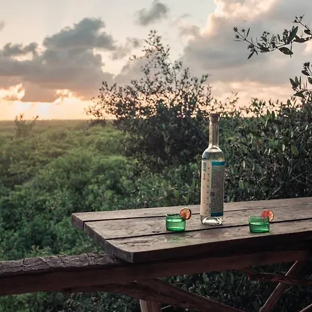 Hidden Treehouse Eco-hotel Hotel