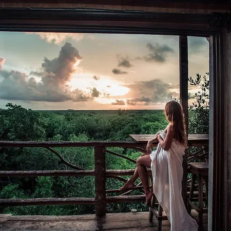 Hidden Treehouse Eco-hotel