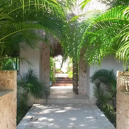 Beatiful Twin * Tulum