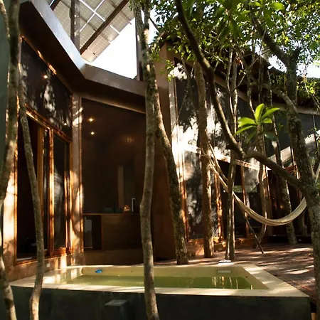 Ojo De árbol, Boutique In The Real Jungle Tulum