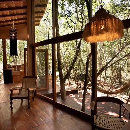 Ojo De árbol, Boutique In The Real Jungle * Tulum