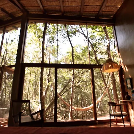 Ojo De árbol, Boutique In The Real Jungle Tulum