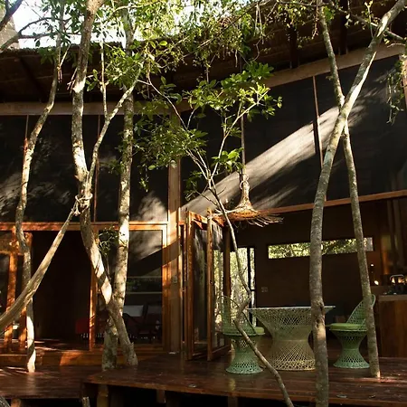 Ojo De árbol, Boutique In The Real Jungle Villa