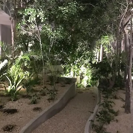 N35 Jungle Nest