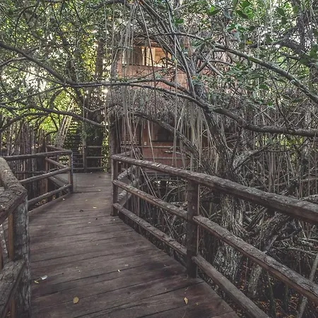 Hidden Treehouse Eco-hotel
