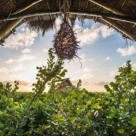 Hidden Treehouse Eco-hotel 4*